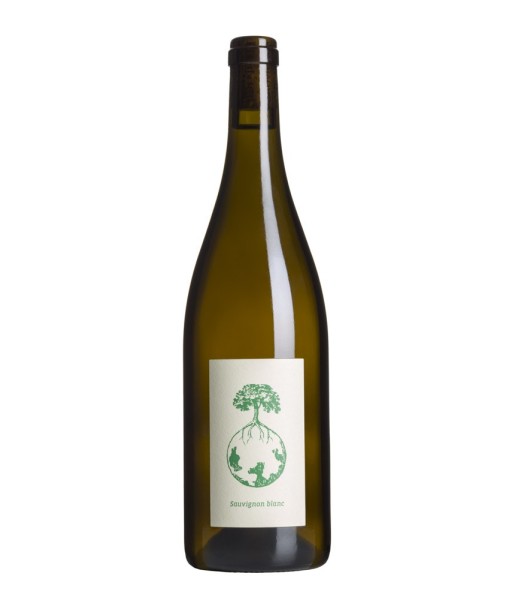 Werlitsch - Sauvignon vom Opok 2022